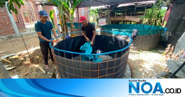 10 Pemuda Gampong Mata Ie Aceh Besar Terapkan Budidaya Lele Sistem Bioflok, Targetkan Usaha Produktif Mandiri