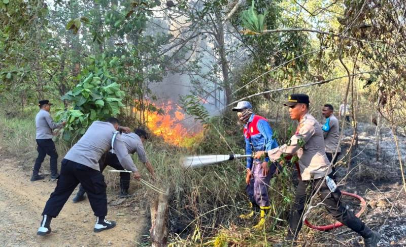 Kebakaran Lahan 2 Hektare di Pondidaha Konawe Padam, Polisi Sebut Api Dipicu Cuaca Panas dan Angin Kencang