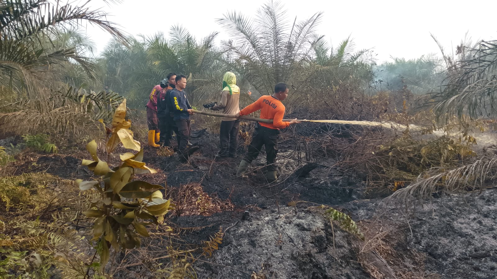 Kebakaran Lahan 30 Hektare di Perkebunan Sawit PT Saraswati Landak, Tim Gabungan Padamkan Api dari Sabtu Sore