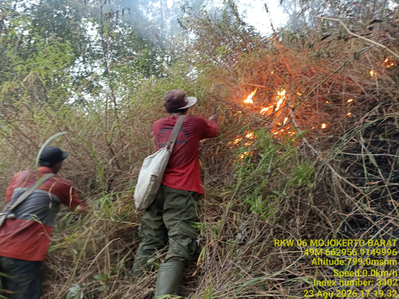 Kebakaran Hutan Landa Tiga Titik di Tahura Mojokerto, TNI dan Tim Gabungan Padamkan Dua Blok