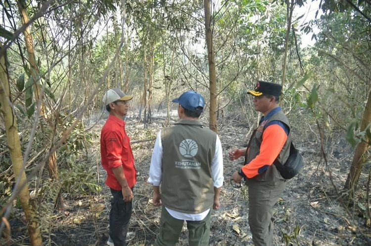 Menteri Kehutanan Raja Antoni Tinjau Karhutla di Banjar Kalsel: Api Hilang, Gambut Masih Berasap