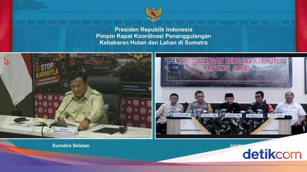Gubernur Jambi Lapor Karhutla ke Presiden Prabowo: 658 Hektare Terbakar, 8 Tersangka Ditetapkan