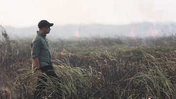 Kebakaran TN Way Kambas Padam, Gajah Sumatra di Habitat dan Konservasi Aman