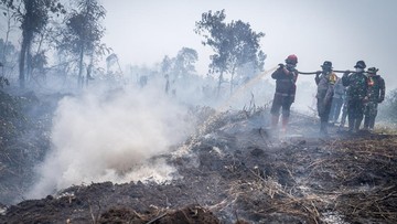 TNI Kerahkan 3 Batalyon ke Kalimantan Barat, Bantu Pemadaman Karhutla Seluas 38.310 Hektare