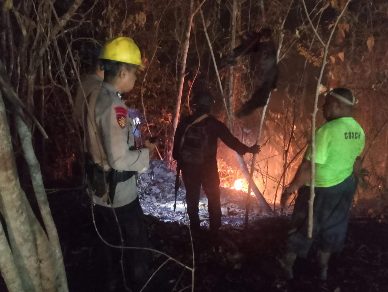 Karhutla Dekati Kilang dan Pipa Migas, SKK Migas Siaga Penuh di Jambi-Papua