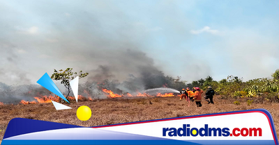 5 Kebakaran Landa Maluku Tenggara dalam Tiga Hari, Damkar Sebut Kemarau Picu Api di Lahan Kosong