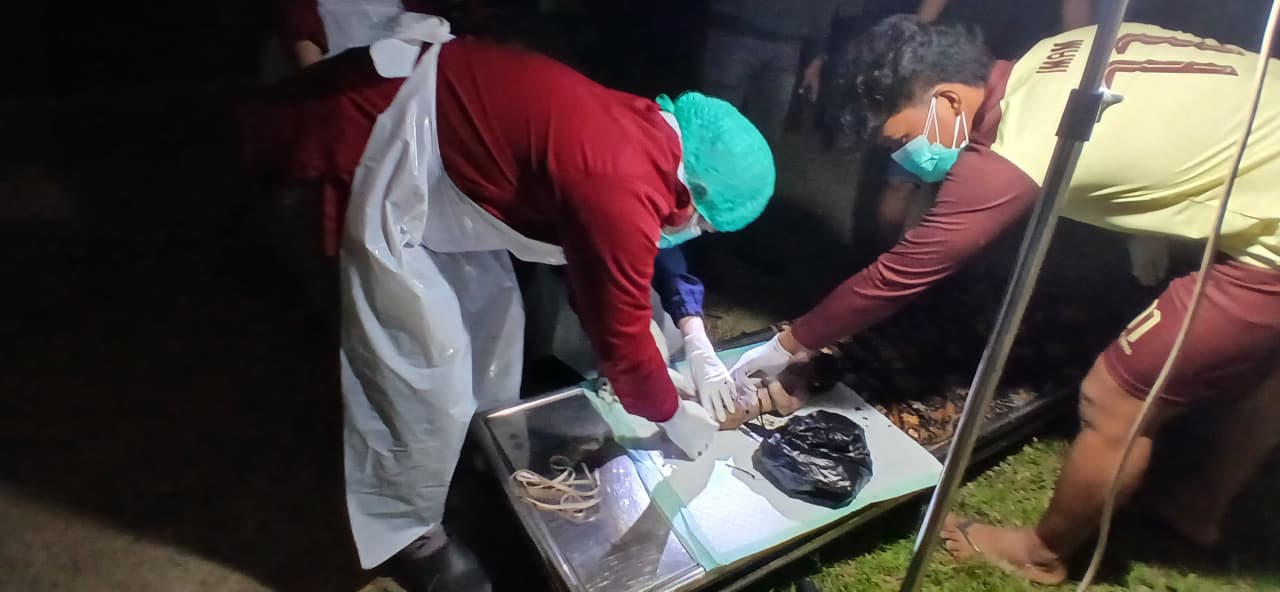 Jasad Bayi Perempuan Ditemukan dalam Tas Hitam di Sebatik, Polisi Periksa Saksi dan CCTV