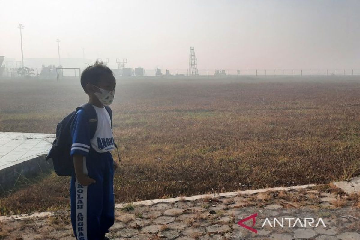 Kabut Asap dan Kesehatan Paru Anak: 7 Tanda Bahaya yang Wajib Diwaspadai Orang Tua
