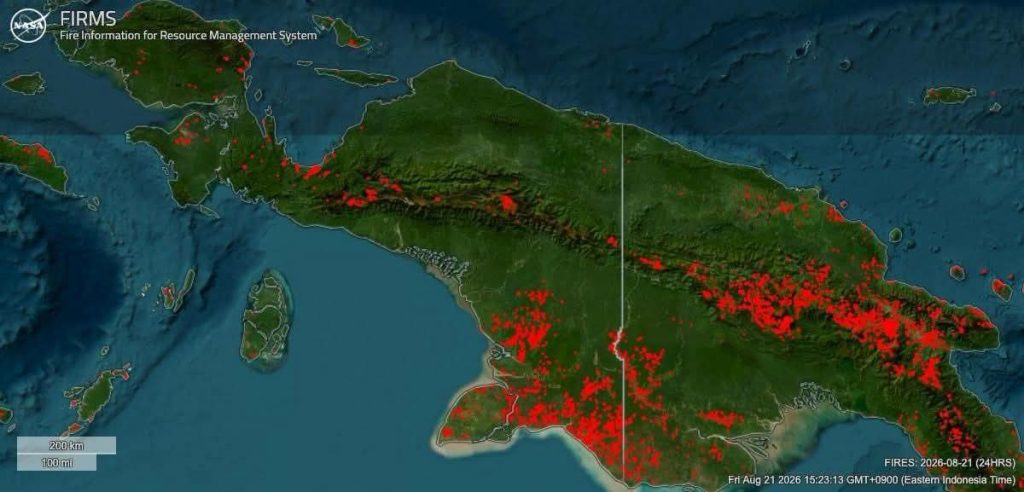 Koalisi Penegak Hukum dan HAM Papua Desak Presiden Hentikan PSN, 25.838 Hektare Hutan Terbakar Akibat El Nino