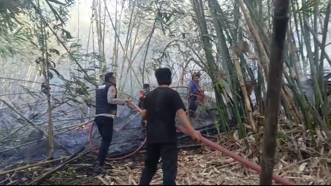 Kebakaran Lahan Hanguskan 3 Hektare Kebun Bambu di Belakang SDN 7 Arawa Sidrap, Kapolsek Turun ke Lokasi