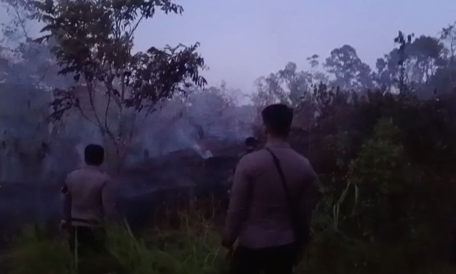 Titik Panas di Kaltim Capai 594 pada Minggu, Berau Tertinggi dengan 267 Hotspot, PPU Nol
