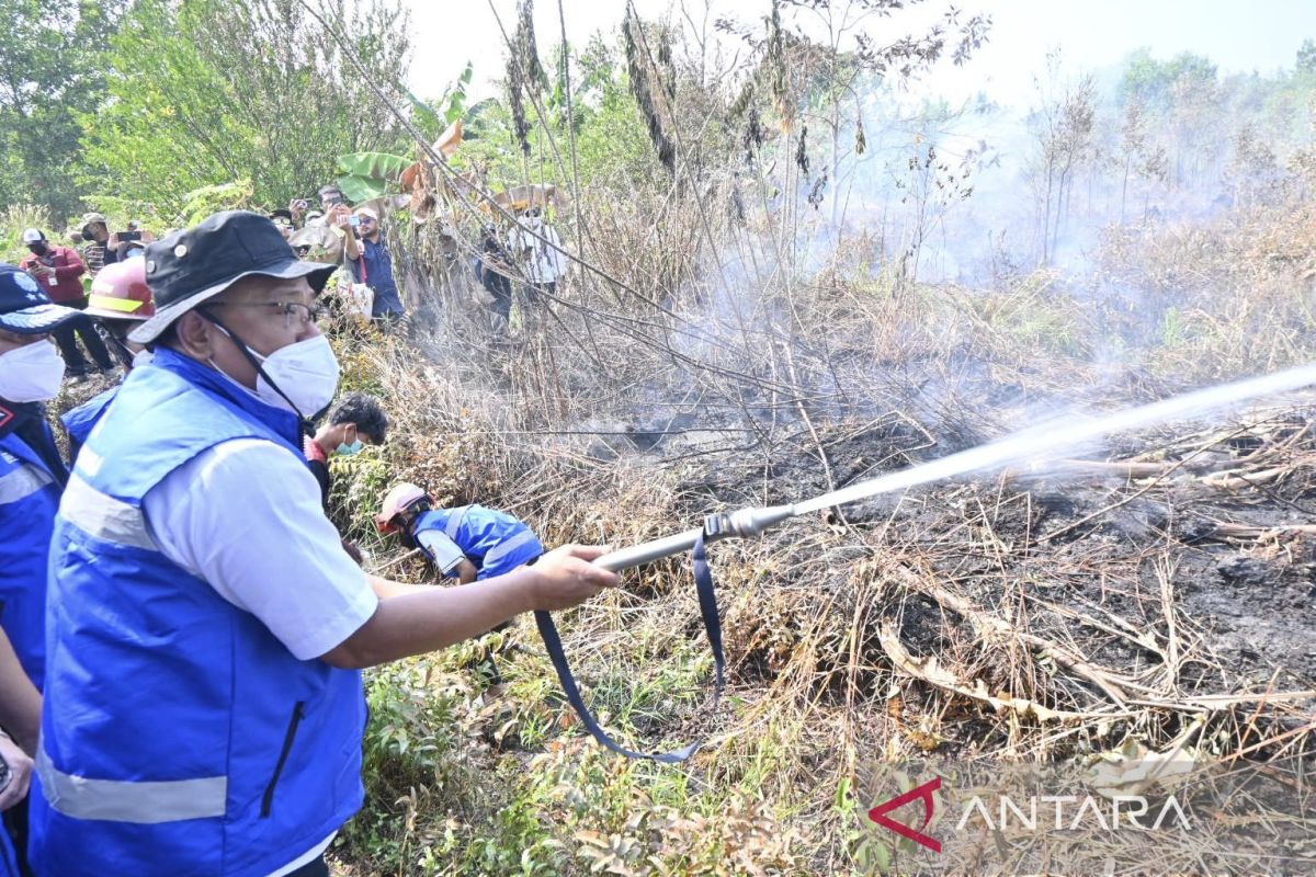 Menteri LH Minta Satgas Karhutla Jaga Lahan Gambut Tetap Basah Usai Api Padam