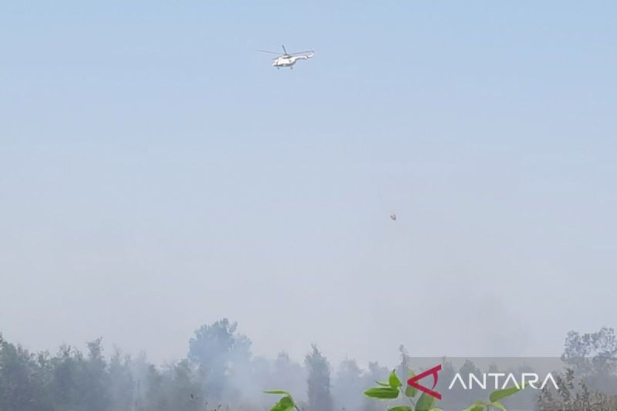 BNPB Kerahkan Empat Helikopter Water Bombing untuk Padamkan Karhutla di Kalimantan Selatan