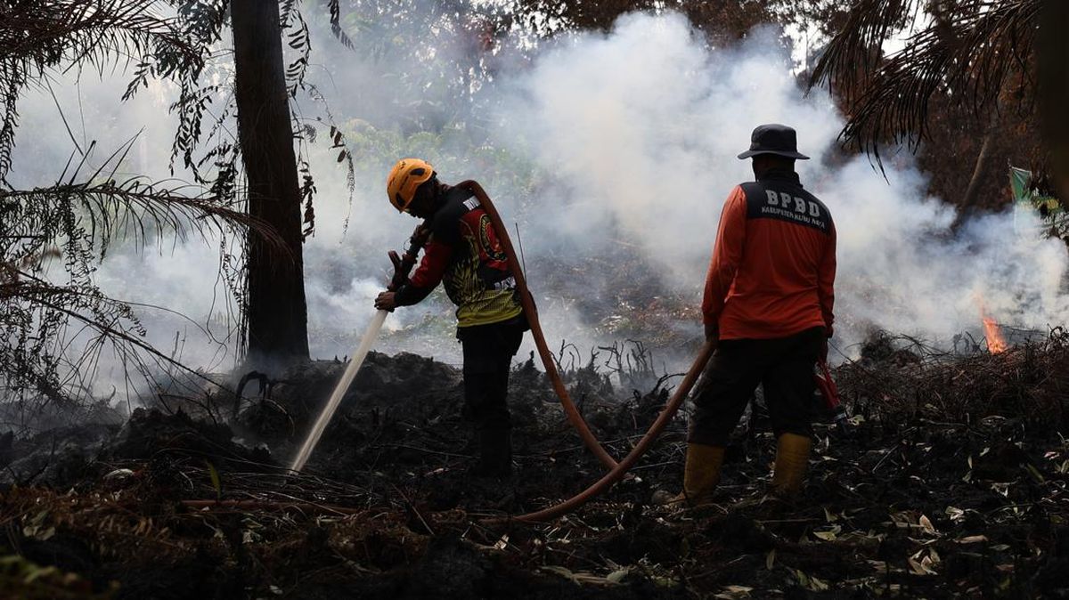 Bupati Ketapang Terbitkan SE Wajibkan Perusahaan Bantu Padamkan Karhutla di Luar Wilayah Operasional
