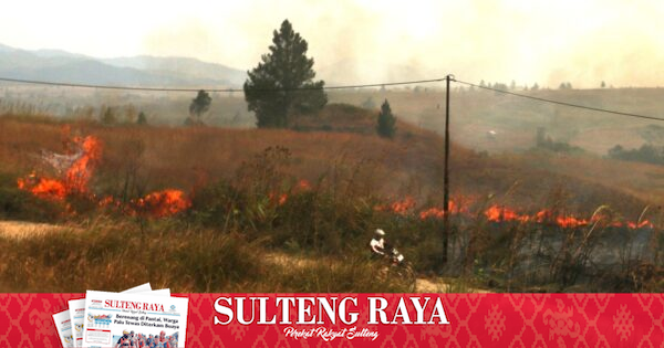 Karhutla Landa 4.147 Hektare di Sulteng hingga Juni 2026, Touna Tetapkan Status Siaga Darurat