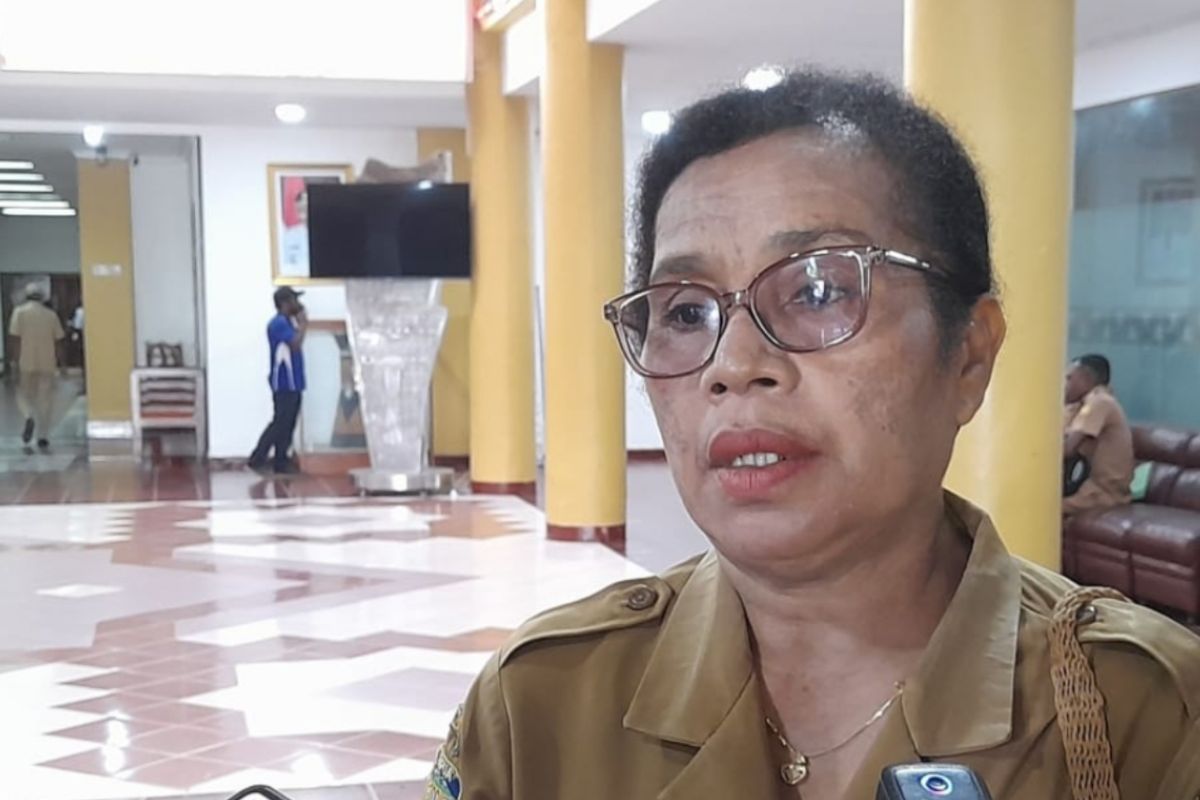 Pemkot Jayapura Dukung 14 Kampung dengan Fasilitas Perpustakaan Digital dan Bimbingan Teknis Literasi