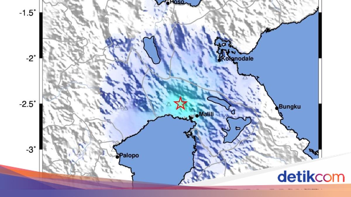 Gempa Dangkal M4,3 Guncang Luwu Timur Akibat Sesar Matano, Warga Malili dan Towuti Rasakan Getaran Kuat