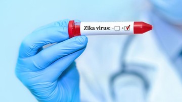 CDC AS Keluarkan Travel Warning Zika untuk Bali, Dinkes Pastikan Nol Kasus