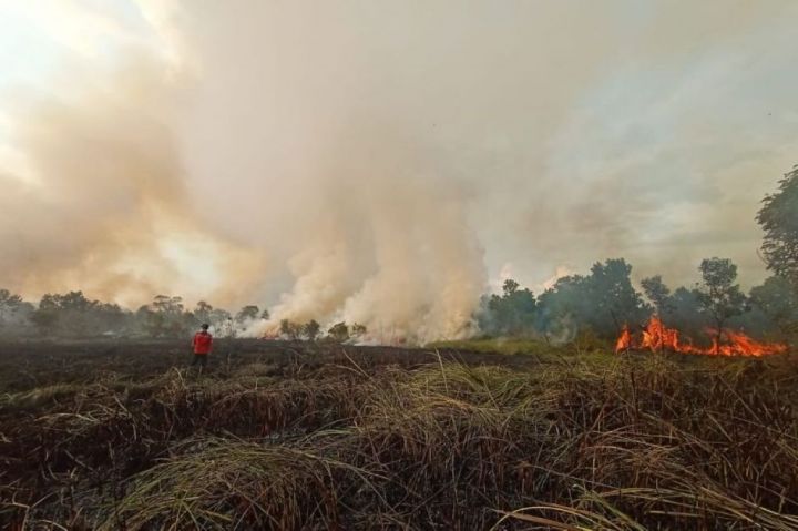Asap Karhutla Jambi, Riau, dan Sumsel Selimuti 6 Daerah di Sumbar, Begini Imbauan Pemprov