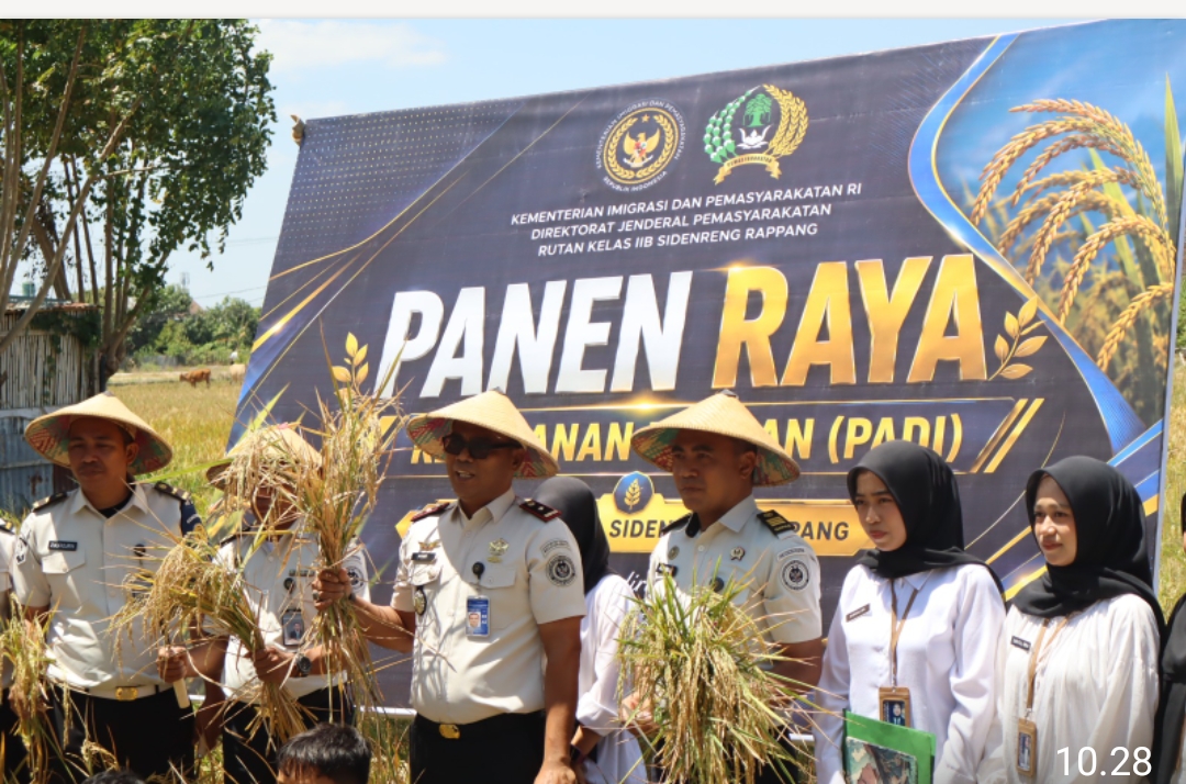 Rutan Kelas IIB Sidrap Panen Raya Padi Hasil Pembinaan Warga Binaan, Dukung Ketahanan Pangan Nasional