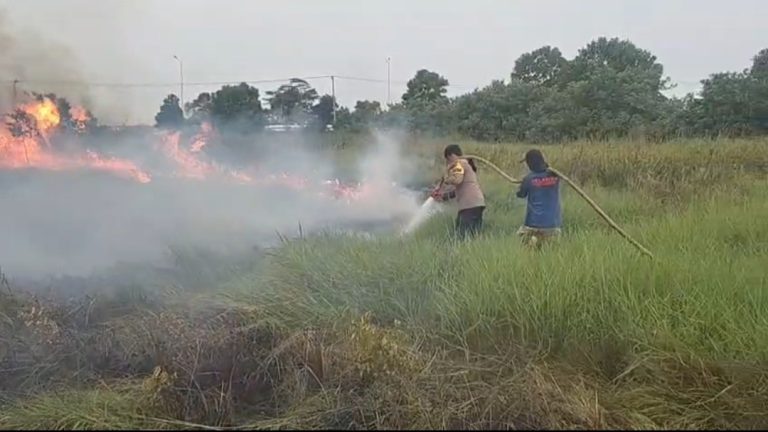 Kebakaran Lahan Semi Gambut 15 Hektare di Ogan Ilir, Tim Gabungan Padamkan 6 Hektare dan Terus Berjibaku