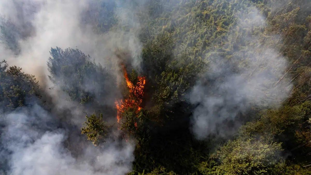ISPA pada Anak Meningkat Akibat Kabut Asap Karhutla, Ini Cara Lindungi Si Kecil