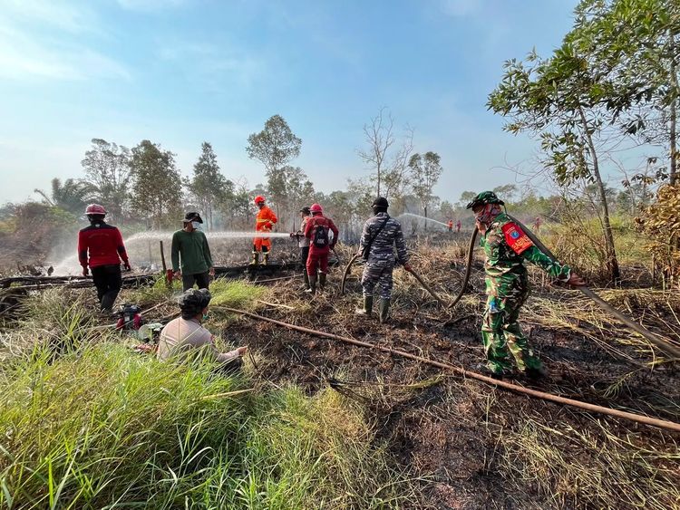 Karhutla Kalbar: 700 Personel Tambahan Dikerahkan, Menhut Temukan Bara di Lahan Gambut Kubu Raya
