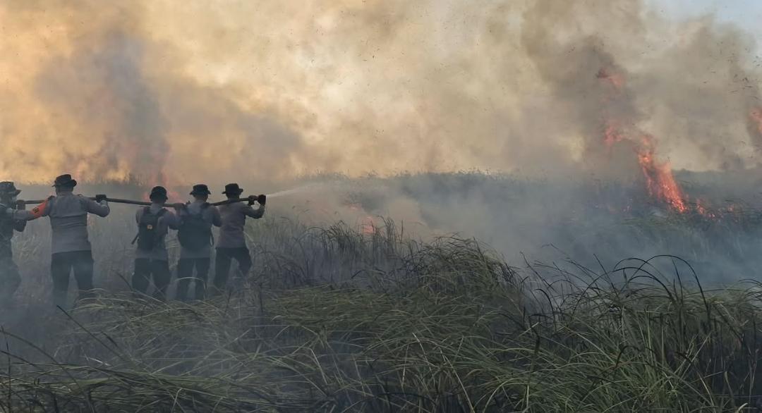 Kapolda Lampung Turun Langsung ke Titik Api Taman Nasional Way Kambas, 673 Hektare Lahan Konservasi Hangus