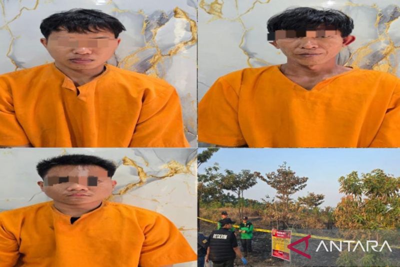 3 Pelaku Pembakar Lahan PT Musi Hutan Persada di OKU Timur Diringkus, Modal 2 Korek Gas dan Mobil Pikap