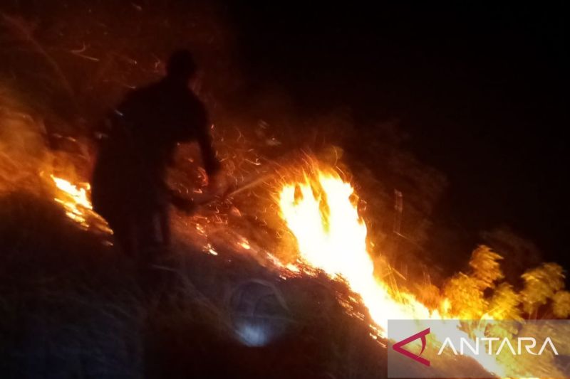 BPBD Sigi Catat Hujan Mulai Turun di Kulawi dan Pipikoro, Potensi Karhutla di Kawasan Pegunungan Menurun