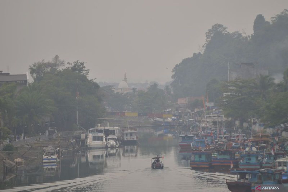 Kabut Asap Kiriman dari Jambi, Riau, dan Sumsel Selimuti 6 Daerah di Perbatasan Sumbar, DLH Imbau Warga Pakai Masker