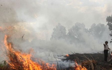 BMKG Deteksi 473 Titik Panas di Kalimantan Selatan, Tiga Kabupaten Jadi Zona Terparah