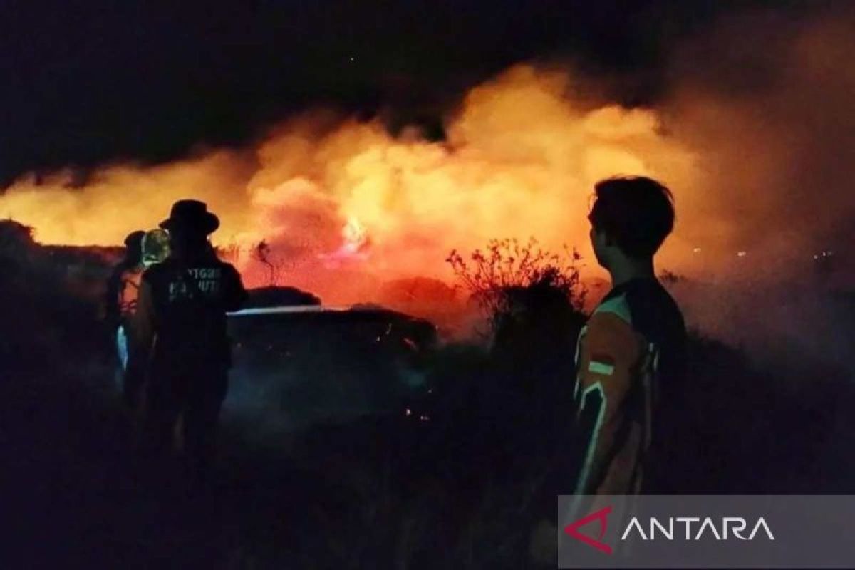 Kebakaran Lahan Kosong 5.000 Meter Persegi di Tallasa City Makassar, Api Padam dan Tidak Ada Korban Jiwa