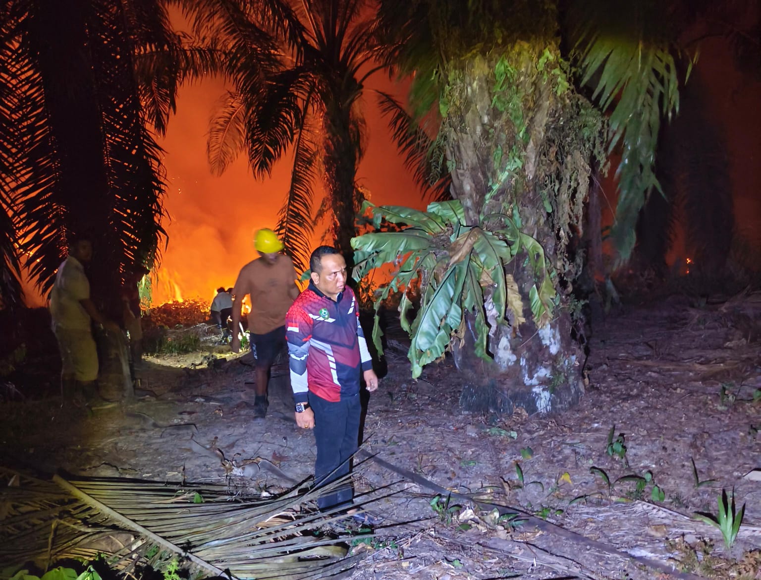 Karhutla di Bukit Santuai Dekat PT AWL, Asap Masih Terpantau dari Lahan Warga