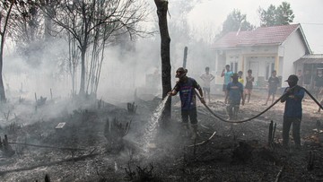 Kemenhut Jatuhkan Sanksi ke 6 Perusahaan di Kalimantan, Lahan Terbakar Capai 1.511 Hektare