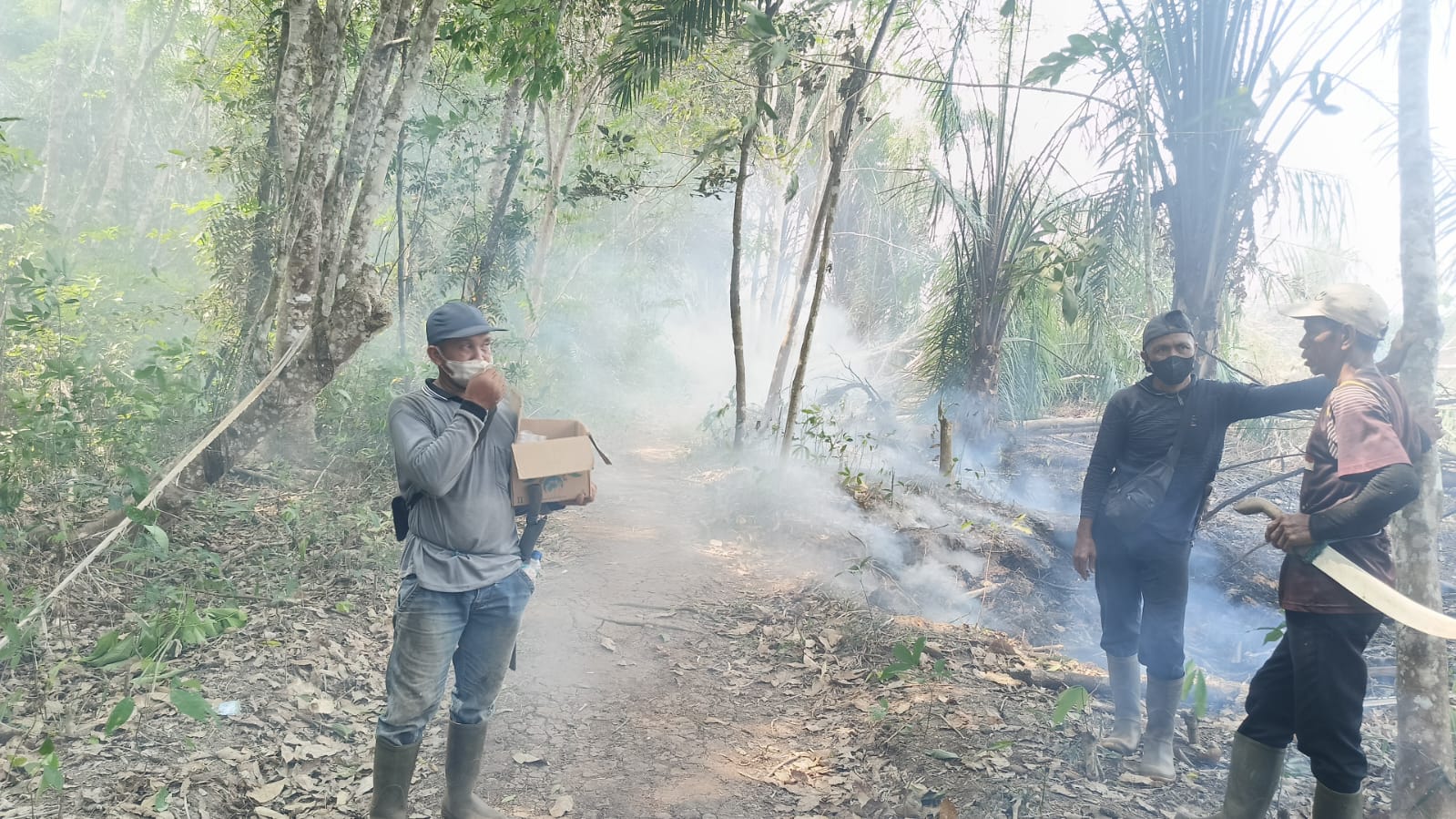 Karhutla di Luwuk Bunter Kotim Kepung Dua Orangutan, Warga Jaga Lahan Siang-Malam