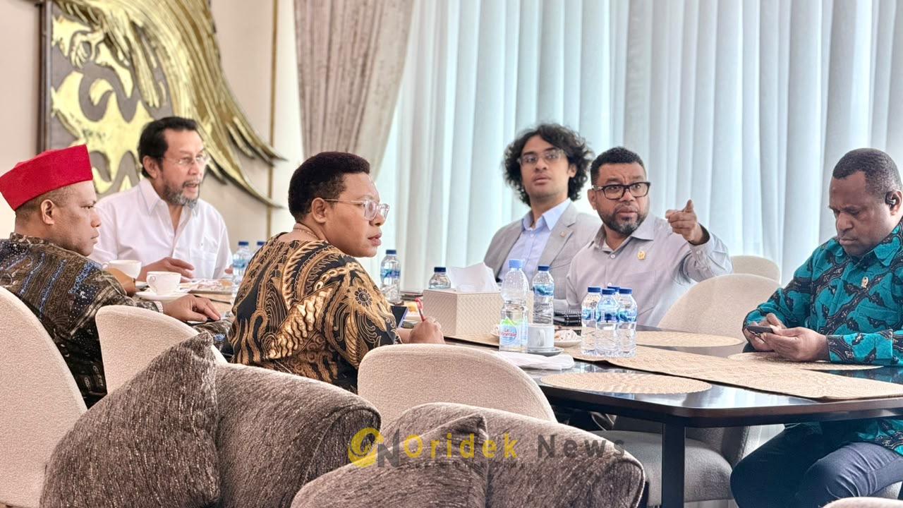 Pansus Papua DPD RI Susun Agenda Kerja Pemetaan Isu HAM, Fokus pada Kasus Masa Lalu Hingga Dampak PSN di Merauke dan Biak