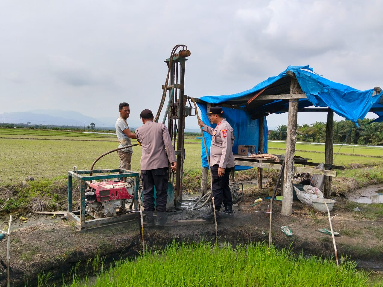Polsek Bumi Raya Morowali Bor Sumur di Sawah Warga, Selamatkan 2 Hektare Padi dari Kekeringan