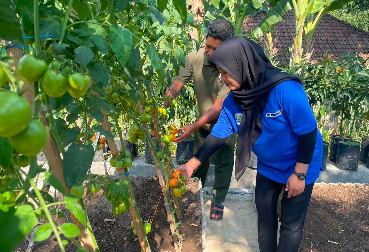 Pertamina Bina 29 Penyandang Disabilitas di Boyolali lewat Peternakan dan Biogas