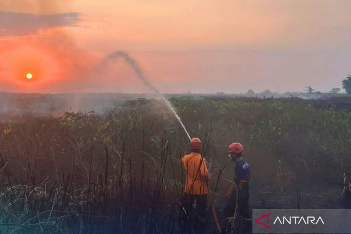 ISPA di Hulu Sungai Tengah Tembus 24.601 Kasus hingga Juli 2026, Dinkes Catat Lonjakan 4 Bulan Beruntun Akibat Kabut Asap
