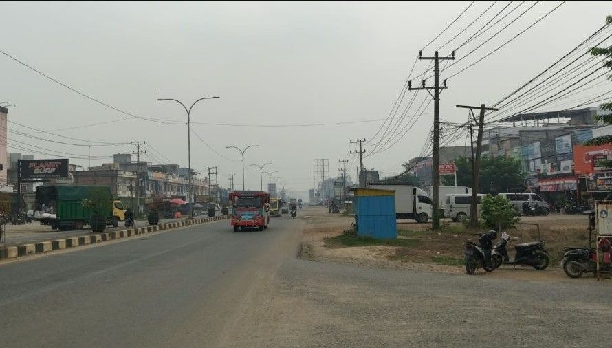 Kabut Asap Karhutla Mulai Selimuti Bungo, BPBD Imbau Warga Pakai Masker dan Jangan Bakar Lahan
