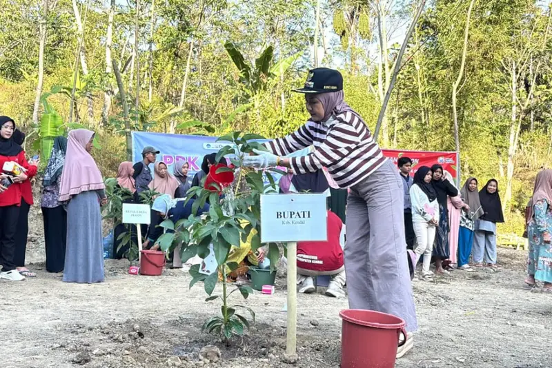 Bupati Kendal Tanam Bibit Alpukat di Desa Peron, Warga Minta Mesin Daur Ulang Sampah Plastik