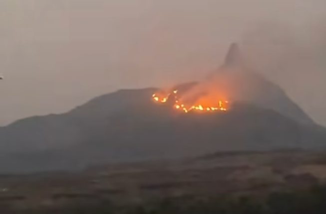 Kebakaran Lahan 350 Hektar di Bukit Jempol Lahat Masih Diselidiki, Polisi Usut Unsur Pidana Pembakaran