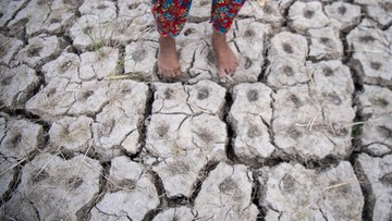 El Nino 2026 Diprediksi Super El Nino, Ancaman Karhutla RI Meningkat