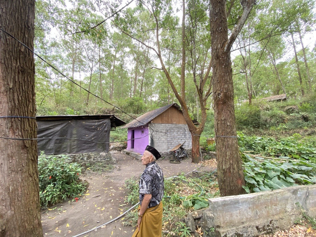 Alih Fungsi Lahan di Kintamani Menggerus Vegetasi 4,25 Km², Area Terbangun Meluas Hingga 10,12 Km²