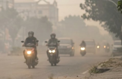Dinkes Riau Catat 445 Kasus ISPA di 4 Daerah Akibat Kabut Asap, Ibu Hamil dan Balita Jadi Prioritas Penanganan