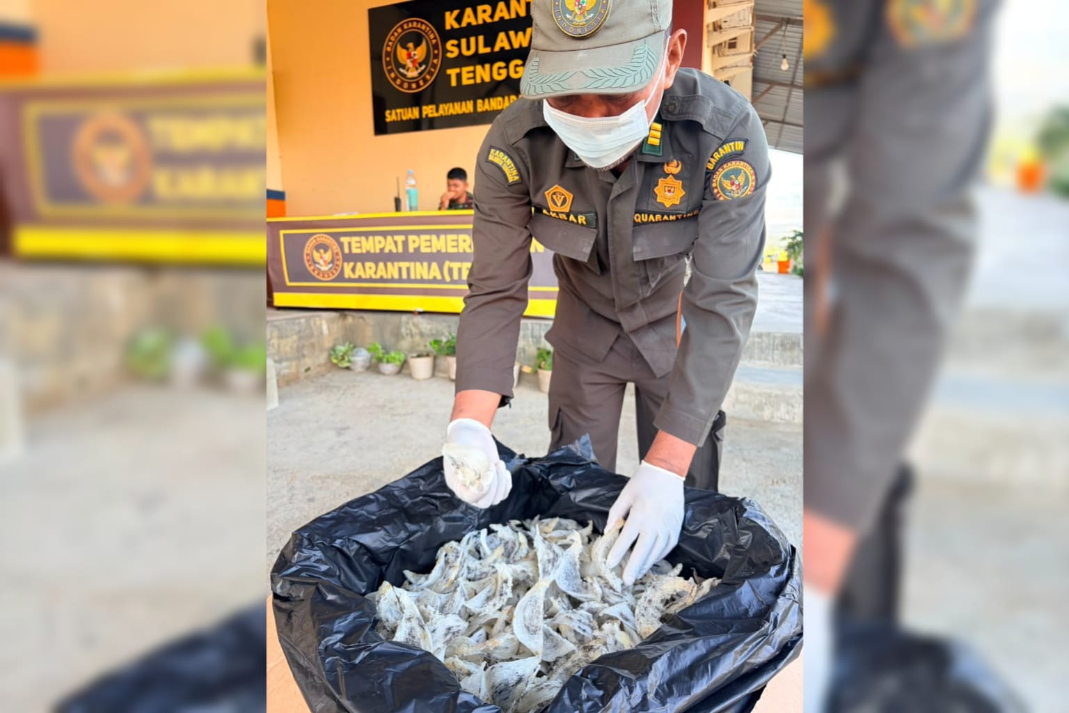 Perdagangan Sarang Burung Walet Sultra Tembus Rp 11,3 Miliar di Agustus, 47 Kali Pengiriman ke Medan hingga Surabaya