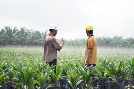 Investasi FELDA di BWPT Terancam Rugi Rp11 Triliun, Anwar Ibrahim Minta Prabowo Turun Tangan