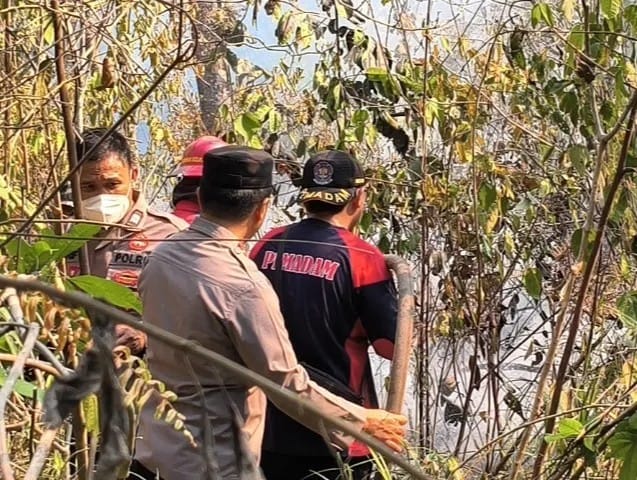 Kebakaran Lahan 4 Hektare di Paser Belengkong Padam, Tim Gabungan TNI-Polri-BPBD Lakukan Penyekatan