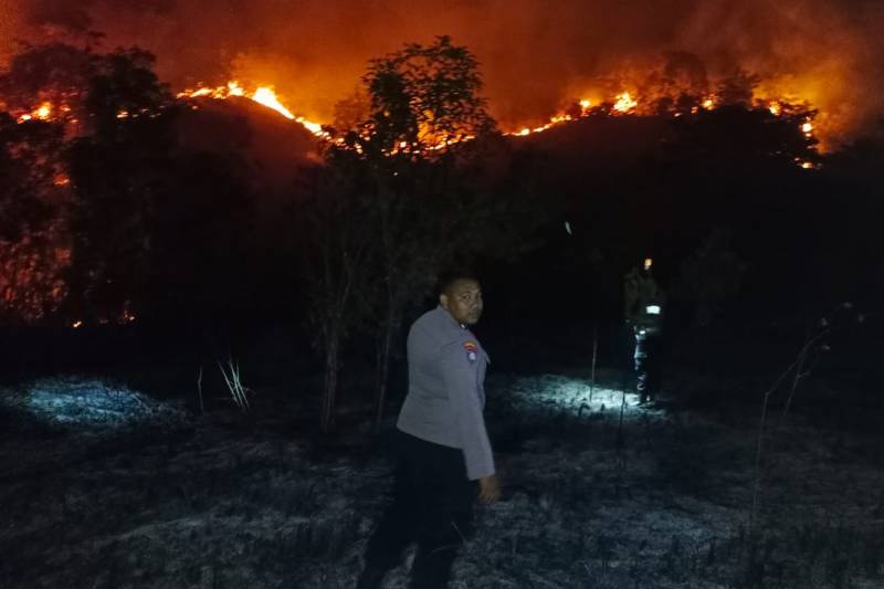 Kapolres Konawe Turun Langsung Padamkan Karhutla di Hutan Konservasi Watumohai, 5 Hektare Lahan Terbakar